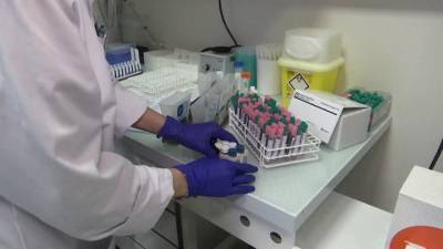 ВОЗ будет расследовать обстоятельства возникновения коронавируса - vesti.ru - Сша - Англия - Лондон
