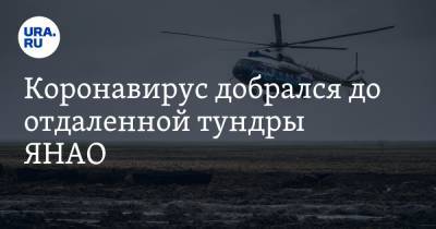 Коронавирус добрался до отдаленной тундры ЯНАО - ura.news - округ Янао