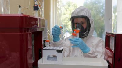 Испытание вакцины от коронавируса начнётся в Беларуси 1 октября - belarus24.by - Россия - Белоруссия