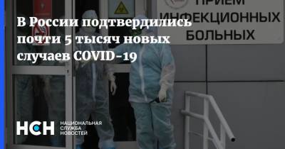 В России подтвердились почти 5 тысяч новых случаев COVID-19 - nsn.fm - Россия - Санкт-Петербург - Москва