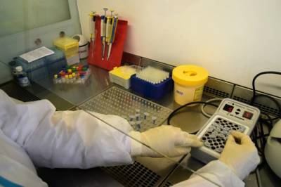 В Кемерове открыли ещё одну лабораторию для проведения тестов на коронавирус - gazeta.a42.ru - Россия
