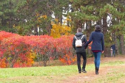 Анатолий Альтштейн - Вирусолог дал советы по укреплению иммунитета осенью - versia.ru