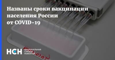 Александр Гинцбург - Названы сроки вакцинации населения России от COVID-19 - nsn.fm - Россия