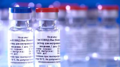 Александр Гинцбург - Стало известно, на какой срок вакцина защитит россиян от коронавируса - vesti.ru - Россия