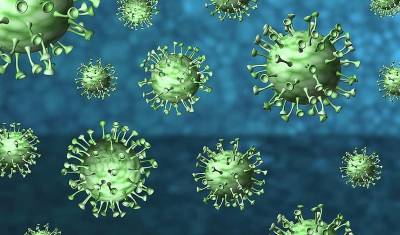 Минпромторг оценил влияние эпидемии коронавируса на импортозамещение - nashgorod.ru