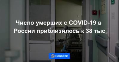 Число умерших с COVID-19 в России приблизилось к 38 тыс - news.mail.ru - Россия