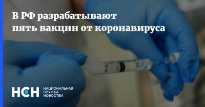 Михаил Мурашко - В РФ разрабатывают пять вакцин от коронавируса - nsn.fm - Россия