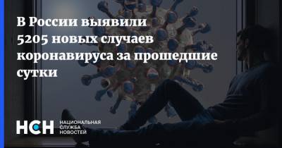 В России выявили 5205 новых случаев коронавируса за прошедшие сутки - nsn.fm - Россия