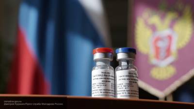 Власти Нигерии получили образцы российской вакцины от коронавируса - inforeactor.ru - Россия - Нигерия