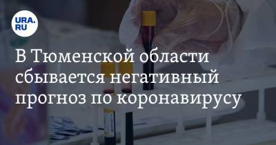 В Тюменской области сбывается негативный прогноз по коронавирусу - ura.news - Тюменская обл.