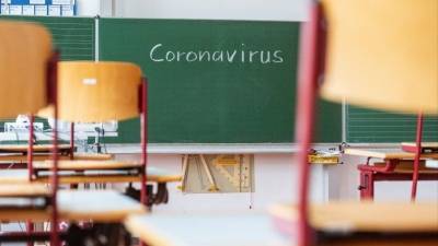 Дмитрий Глушко - Несколько школ перешли на «удаленку» из-за случаев инфицирования коронавирусом - 5-tv.ru - Россия