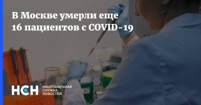 В Москве умерли еще 16 пациентов с COVID-19 - nsn.fm - Россия - Москва