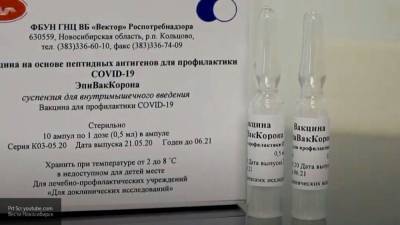 Появилось первое фото российской вакцины от коронавируса "ЭпиВакКорона" - inforeactor.ru
