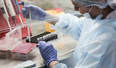 Джонс Хопкинс - В США за день выявили более 24 000 зараженных коронавирусом - newizv.ru - Сша