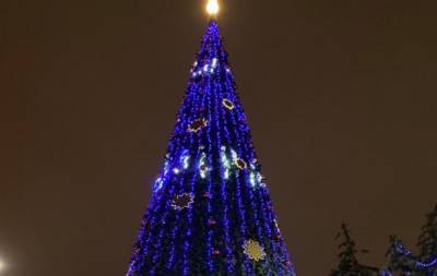 На новогодние праздники парки Ростова будут работать до 22:00 - dontr.ru