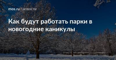 Как будут работать парки в новогодние каникулы - mos.ru