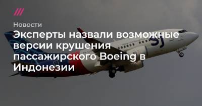 Эксперты назвали возможные версии крушения пассажирского Boeing в Индонезии - tvrain.ru - Индонезия