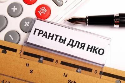 Тамбовские НКО в прошлом году получили почти 55 миллионов рублей - tambov.mk.ru - Тамбовская обл.
