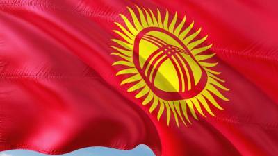 Наблюдатель из России не зафиксировал серьезных жалоб на выборах в Киргизии - riafan.ru - Россия - Киргизия - Бишкек