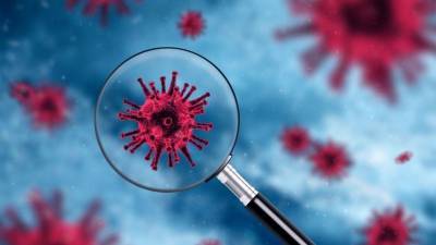 Анна Попова - «Британский штамм» коронавируса впервые обнаружили в России - 5-tv.ru - Россия - Англия