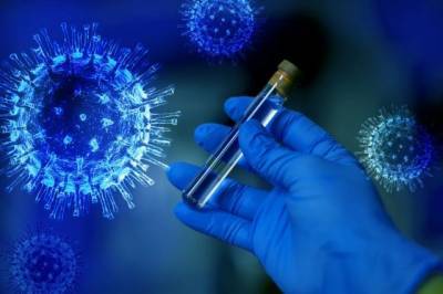 Анна Попова - В России выявлен первый случай «британского» штамма коронавируса - aif.ru - Россия - Англия - Япония - Бразилия
