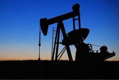 Эксперты прогнозируют подъем спроса на нефть в 2021 году - abnews.ru - Сша