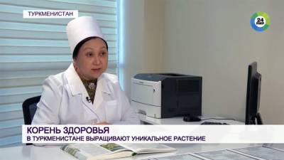Гурбангулы Бердымухамедов - Телеканал «МИР24» рассказал об использовании солодки для лечения коронавируса (видео) - hronikatm.com - Туркмения