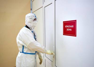 Ирина Шестакова - Инфекционист назвала единственный способ остановить пандемию коронавируса - m24.ru - Россия