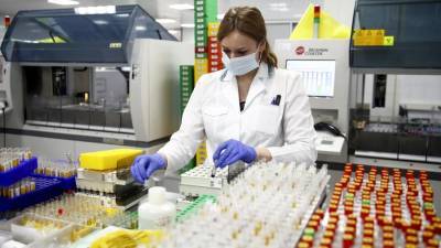 За сутки в России провели 383 тыс. тестов на коронавирус - iz.ru - Россия - Израиль
