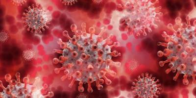 Новую мутацию коронавируса выявили в Японии - ruposters.ru - Англия - Япония - Бразилия - Юар