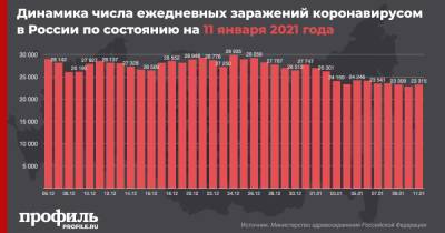 В России выявили 23315 новых случаев COVID-19 за сутки - profile.ru - Россия