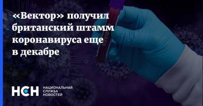 «Вектор» получил британский штамм коронавируса еще в декабре - nsn.fm - Россия - Англия