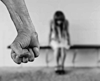 В Запорожской области мужчина изнасиловал несовершеннолетнюю девочку - inform.zp.ua - Запорожская обл.