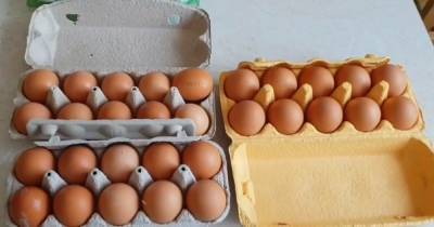 Яйца станут "золотыми": цены на популярный продукт взлетят выше некуда – названы цифры - ukrainianwall.com - Украина