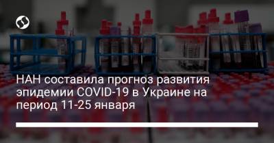 НАН составила прогноз развития эпидемии COVID-19 в Украине на период 11-25 января - liga.net - Украина
