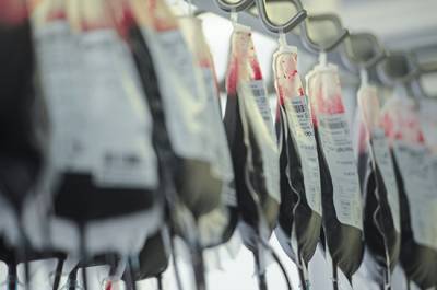 За нарушение правил хранения донорской крови предложено штрафовать - pnp.ru