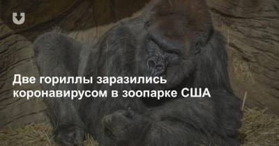 Две гориллы заразились коронавирусом в зоопарке США - news.tut.by - Сша - Сан-Диего