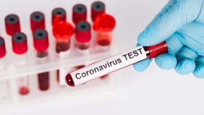 Ученые впервые выявили «российский» вариант коронавируса - 5-tv.ru - Россия - Дания