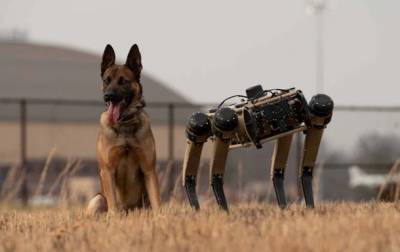 Американские военные испытывают роботов-собак (ВИДЕО) - cursorinfo.co.il - Сша