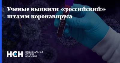 Ученые выявили «российский» штамм коронавируса - nsn.fm