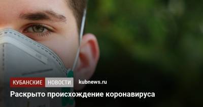 Раскрыто происхождение коронавируса - kubnews.ru