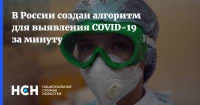 В России создан алгоритм для выявления COVID-19 за минуту - nsn.fm - Россия