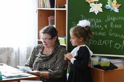 Алевтина Шевелева - Тульские власти создадут резерв из студентов для замены пожилых педагогов в школах - interfax-russia.ru - Тула