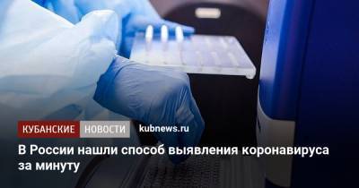 В России нашли способ выявления коронавируса за минуту - kubnews.ru - Россия