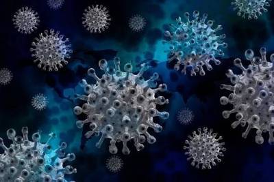 Британские учёные раскрыли происхождение коронавируса SARS-CoV-2 - versia.ru