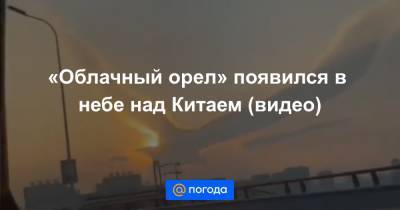 Екатерина Гура - «Облачный орел» появился в небе над Китаем (видео) - news.mail.ru - Китай