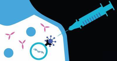 Вакцины от коронавируса не могут изменять ДНК человека, и вот почему - focus.ua