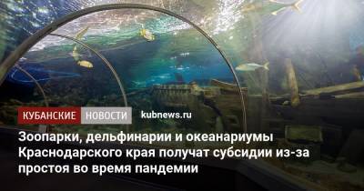 Зоопарки, дельфинарии и океанариумы Краснодарского края получат субсидии из-за простоя во время пандемии - kubnews.ru - Россия - Краснодарский край