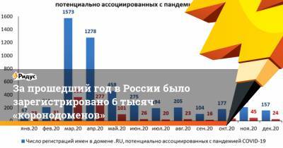 За прошедший год в России было зарегистрировано 6 тысяч «коронодоменов» - ridus.ru - Россия