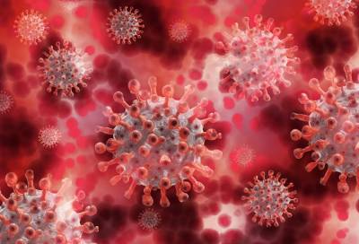 Стали известны симптомы "британского" штамма коронавируса у детей - online47.ru